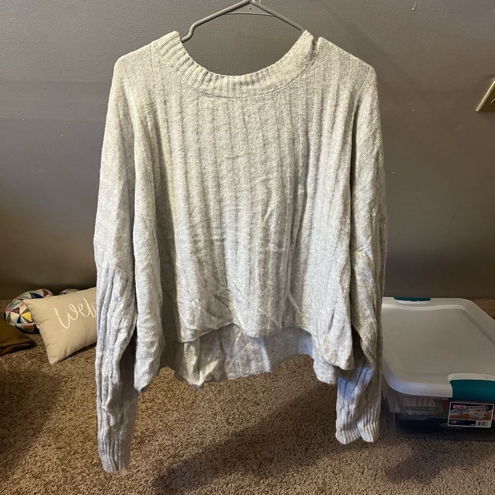 Plush Cropped American Eagle Sweater